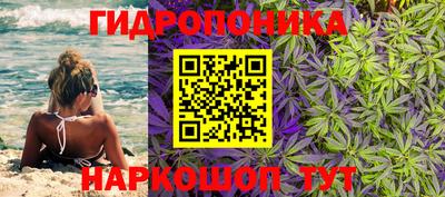 крисы Балахна