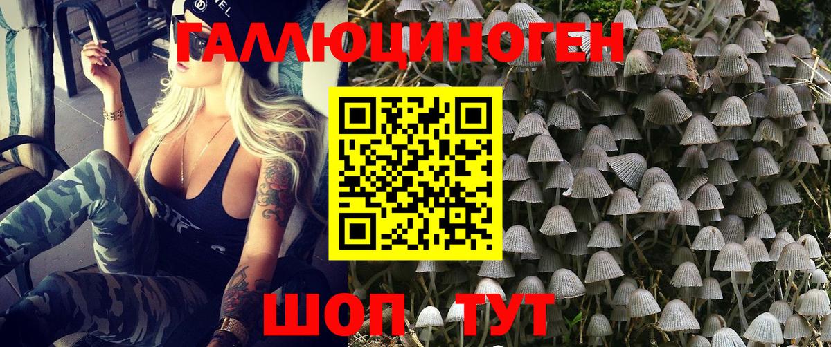 Елизово  Галлюциногенные грибы MAGIC MUSHROOMS  Вход с VPN 